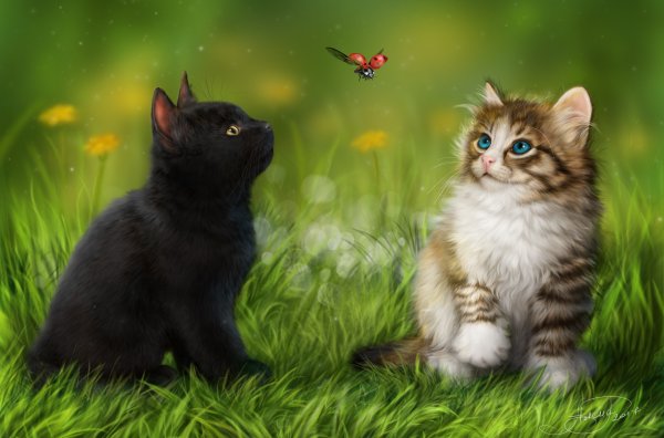 Котята на природе