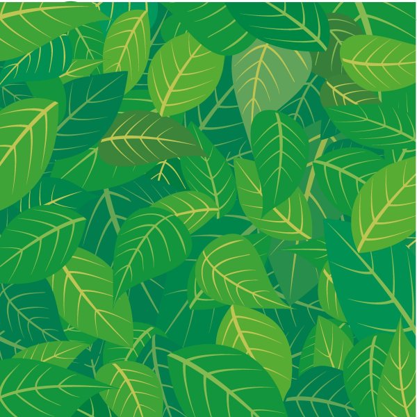Текстура листвы