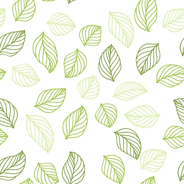 Паттерн листочки