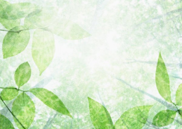 Фон для презентации по биологии