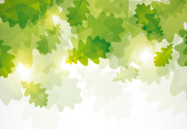 Фон дубовые листочки