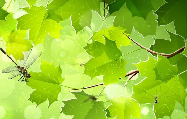 Фон листвы для коллажа