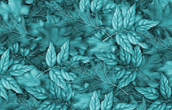 Фон листья