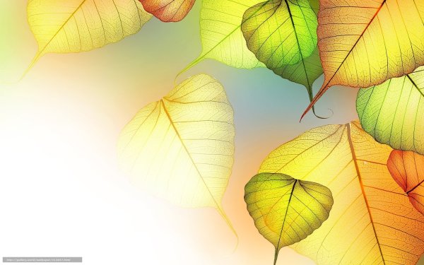 Абстрактные листья