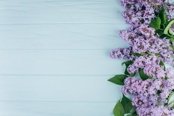 Сирень на деревянном фоне