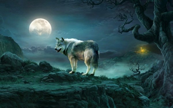 Волк в ночи