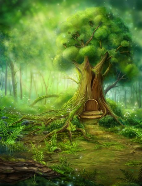 Сказочный лес