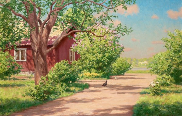 Красивые сельские пейзажи