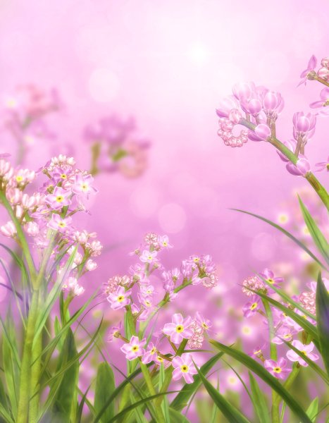 Весенний фон