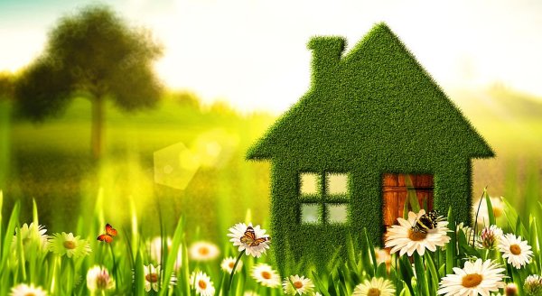 Домик на траве