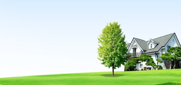 Фон для проекта дом