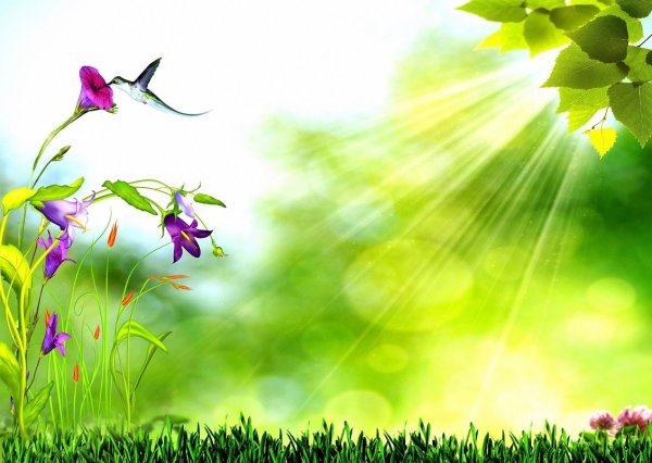 Фон для презентации природа