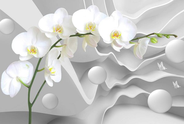 Фотообои цветы