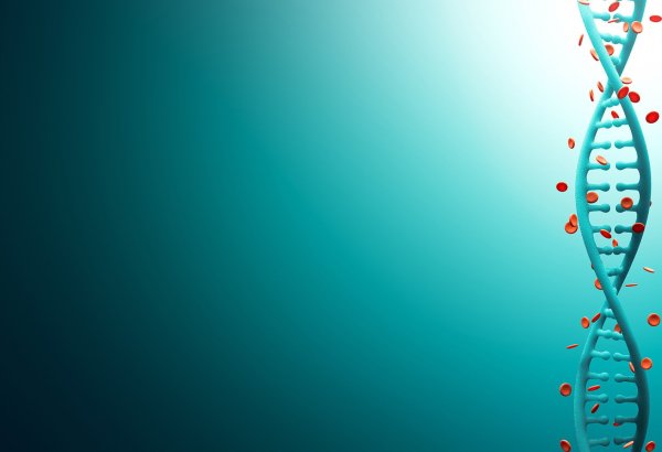 Красивый фон для презентации по биологии