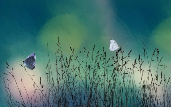 Бирюзовая природа