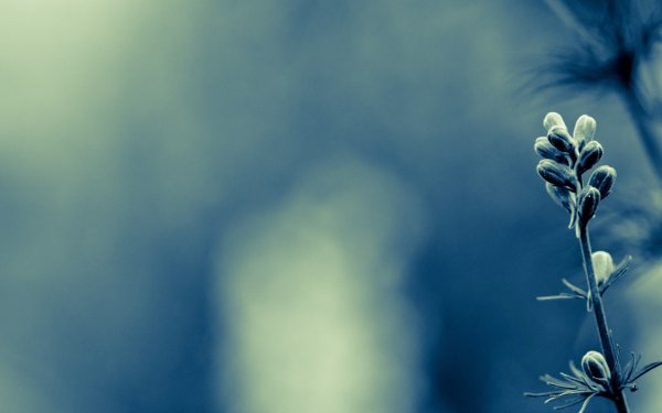 Нейтральный фон для рабочего стола