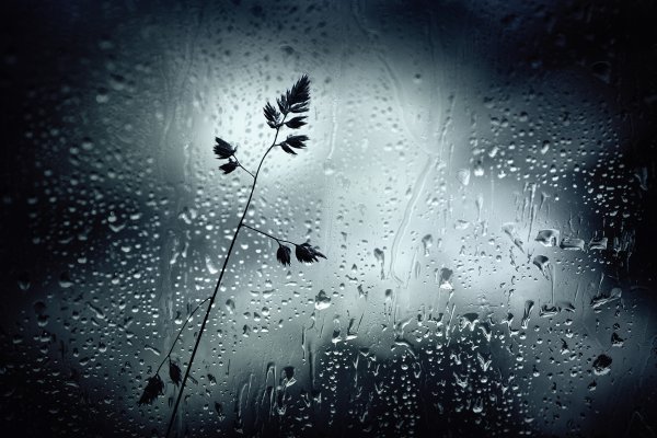 Дождинки на стекле
