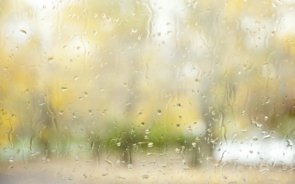 Мокрый асфальт