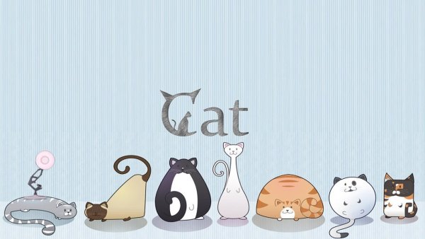 Фон для презентации кошки