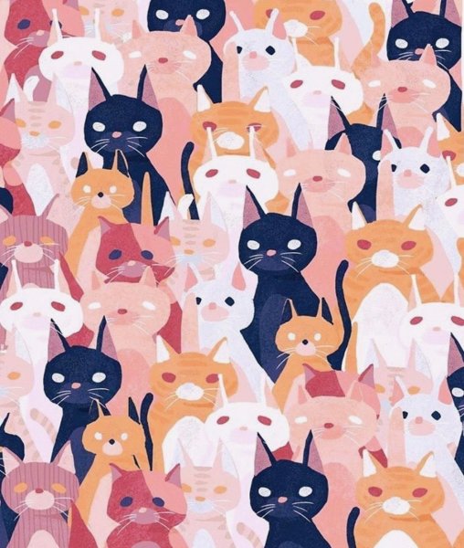 Кошка на красивом фоне