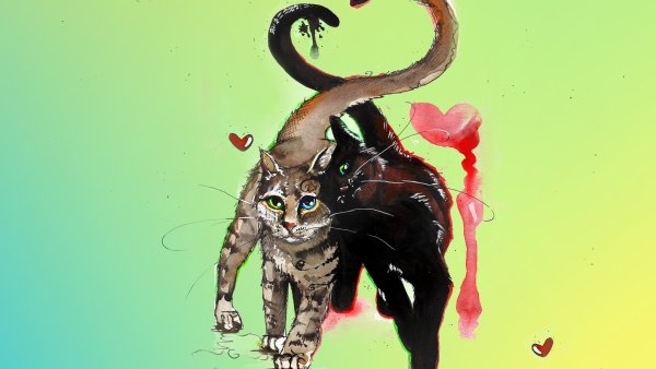 Кошка рисунок