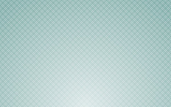 Защитная сетка гильош