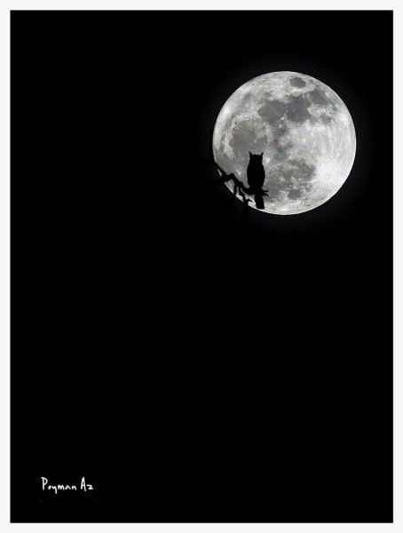 Черная Луна