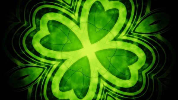 Обои на рабочий стол Клевер четырехлистный на удачу