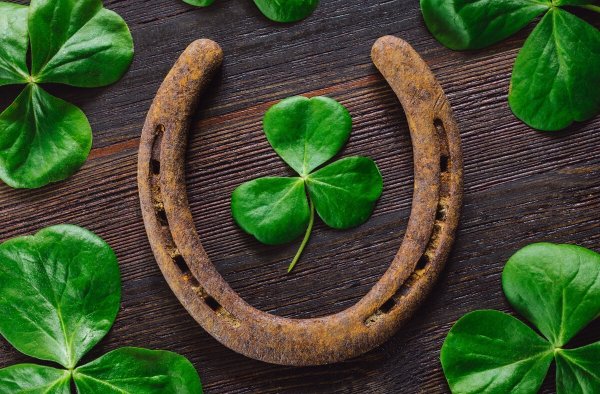 Австрия Клевер четырехлистник