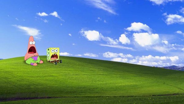 Поляна Windows XP