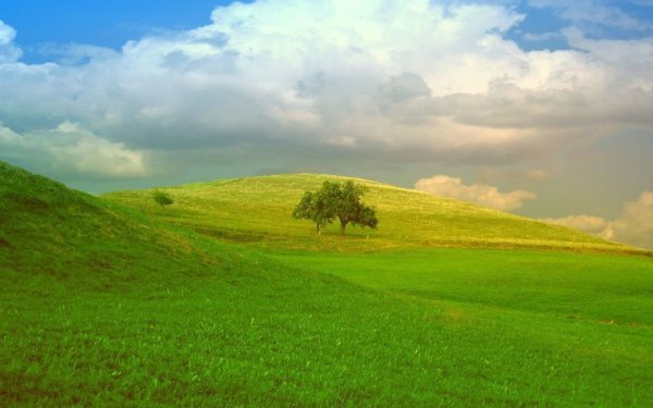 Заставка Windows XP