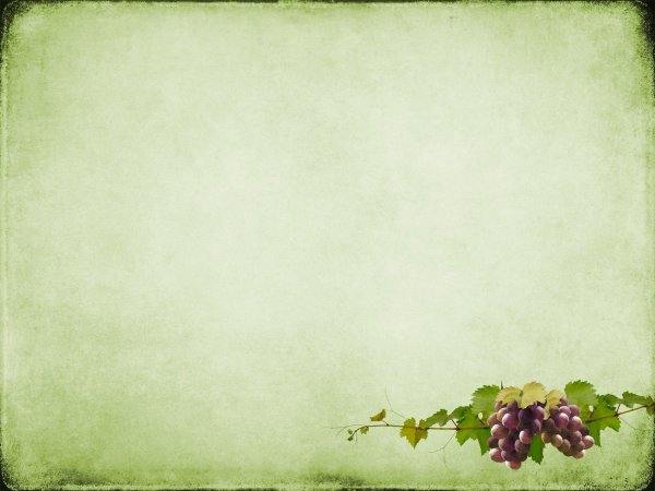 Макет слайда для презентации