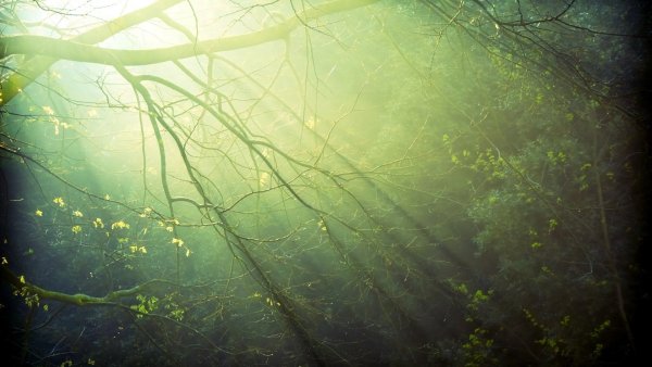 Природный фон