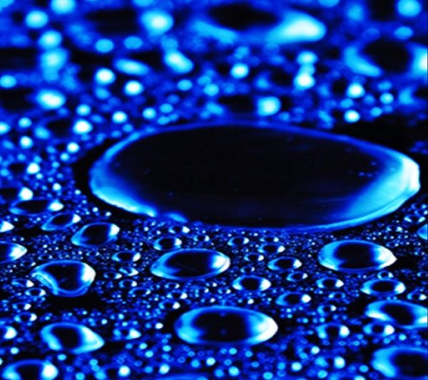 Соты черные с надписью