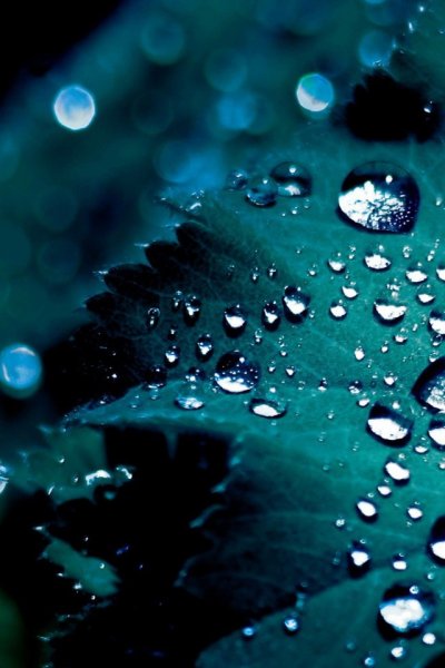 Нокиа картинки