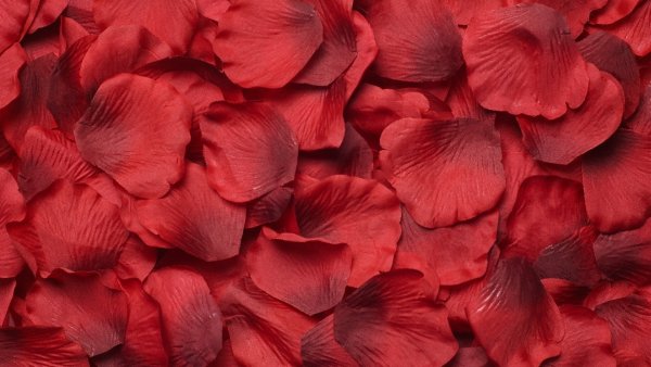 Красный цветок