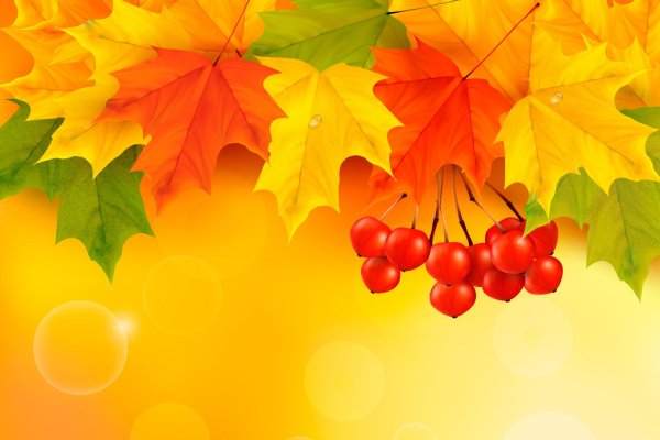 Красивый осенний фон