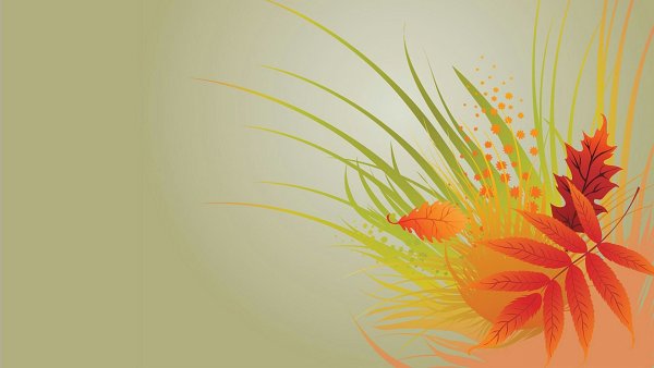 Сентябрь фон