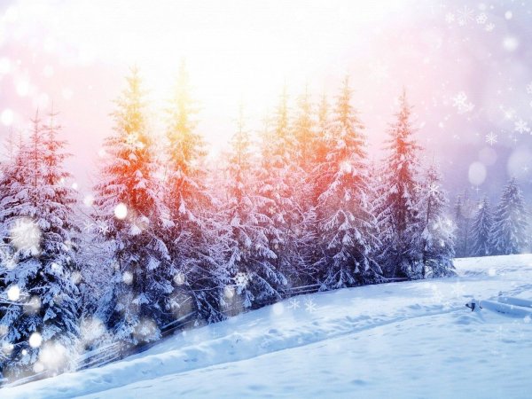 Сказочный зимний лес