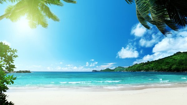 Парадиз остров Карибского моря