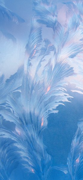 Обои Хуавей p20