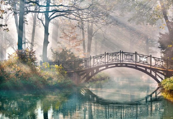 Берта Шмидт-Эллер