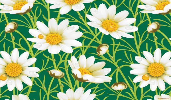 Ромашки бесшовные
