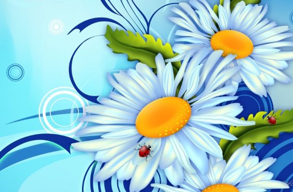 Ромашки на синем фоне