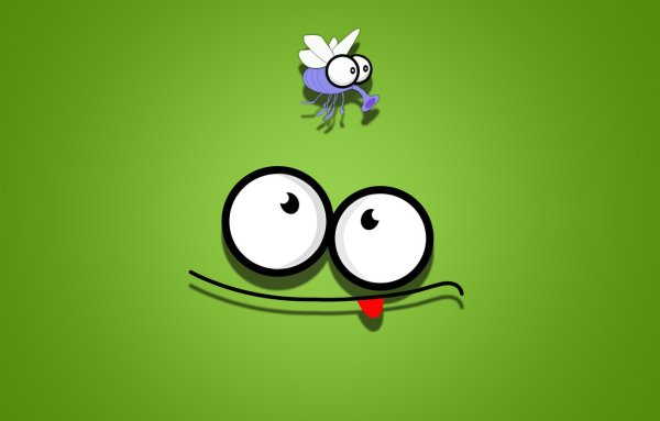 Смешные мордочки на рабочий стол