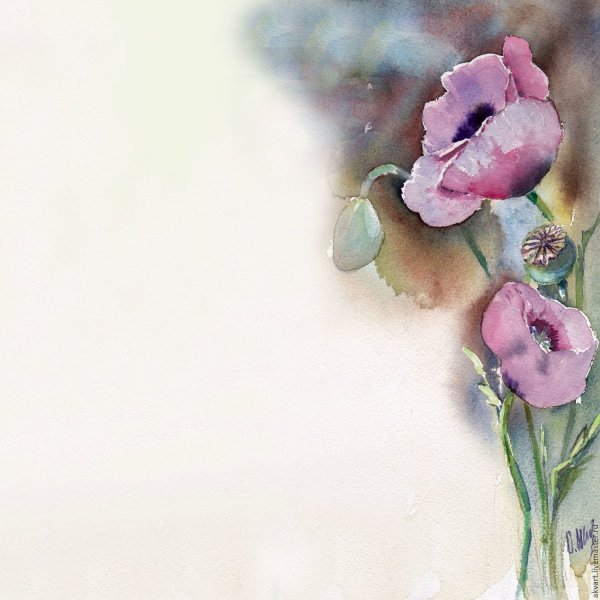 Акварельный фон с цветами