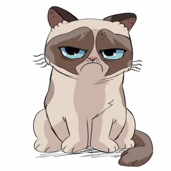 Грустный котик