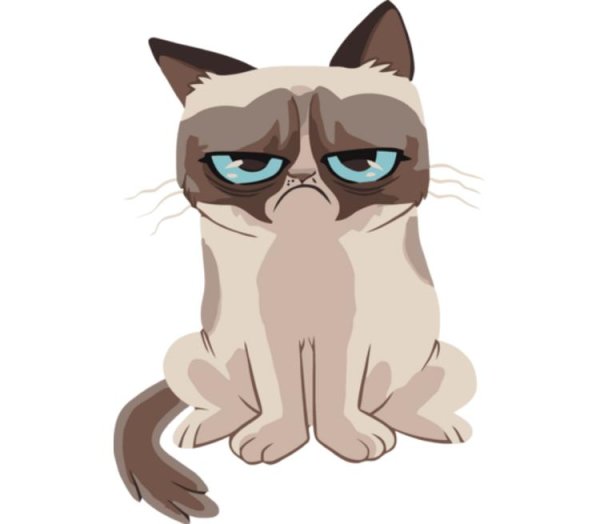 Грустный кот