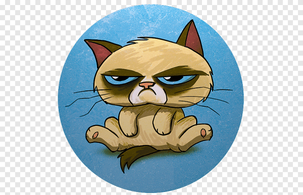 Грустный котик