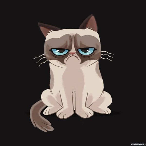 Грампи Кэт стикер